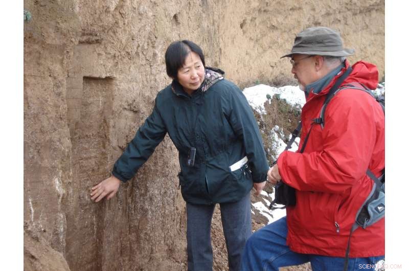 Dusty Rainfall Records Unlock Fresh Perspectives on Earth s Long‑Term Climate