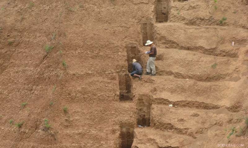 Dusty Rainfall Records Unlock Fresh Perspectives on Earth s Long‑Term Climate