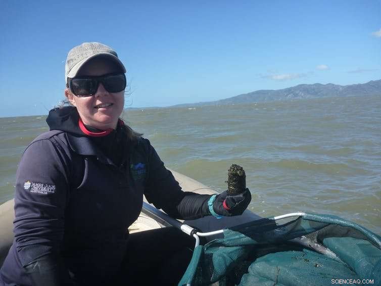 New Research Reveals How Dugong and Sea Turtle Excrement Supports Seagrass Growth on the Great Barrier Reef