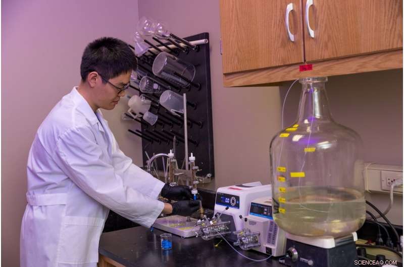 Steel Chips Effectively Remove E. coli from Stormwater - Promising New Water-Treatment Solution