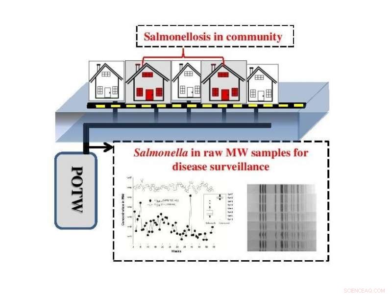 Using Municipal Wastewater to Monitor Diseases: University of Hawaiʻi Study