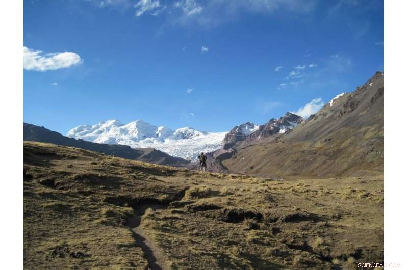 Boosting Plant and Microbe Growth with Phosphorus Nutrition in Arid, High-Altitude Environments