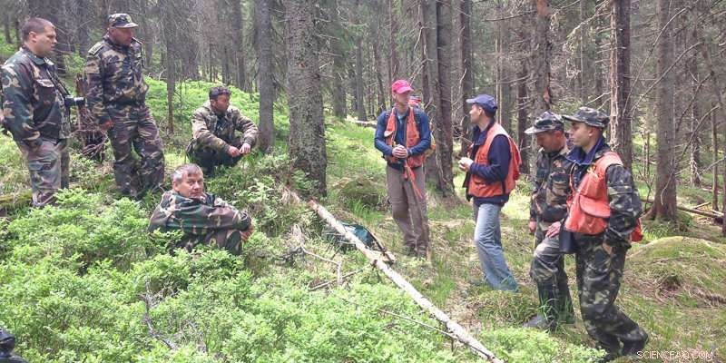 New Map Reveals Vast Extent of Old-Growth Forests Still Thriving Across Europe