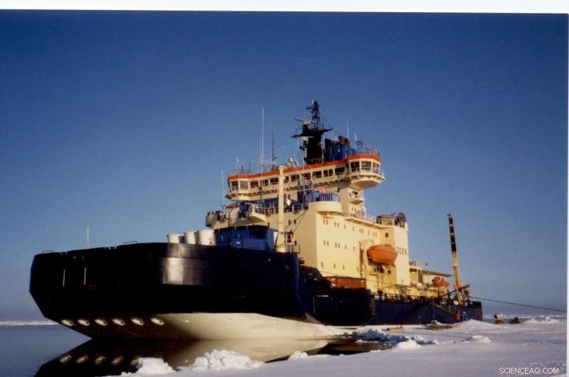 Exploring the Sea‑Sky Link: How Arctic Marine Microbes Shape Summer Clouds