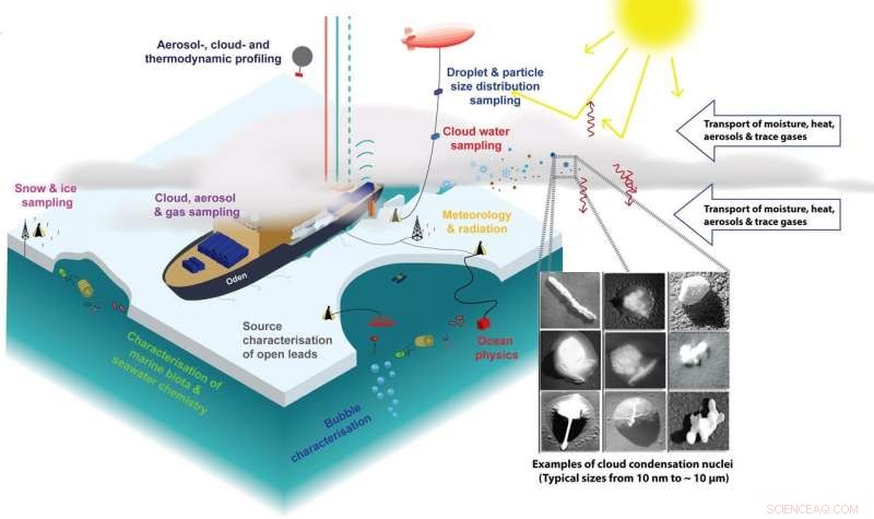 Exploring the Sea‑Sky Link: How Arctic Marine Microbes Shape Summer Clouds