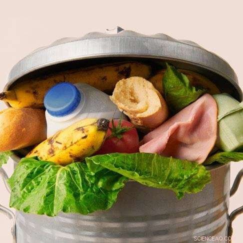 South Africa Outperforms Europe in Reducing Food Waste, New Data Shows