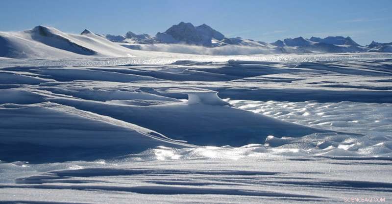 Invisible Ocean Surface Layer Cuts Carbon Uptake by 50%