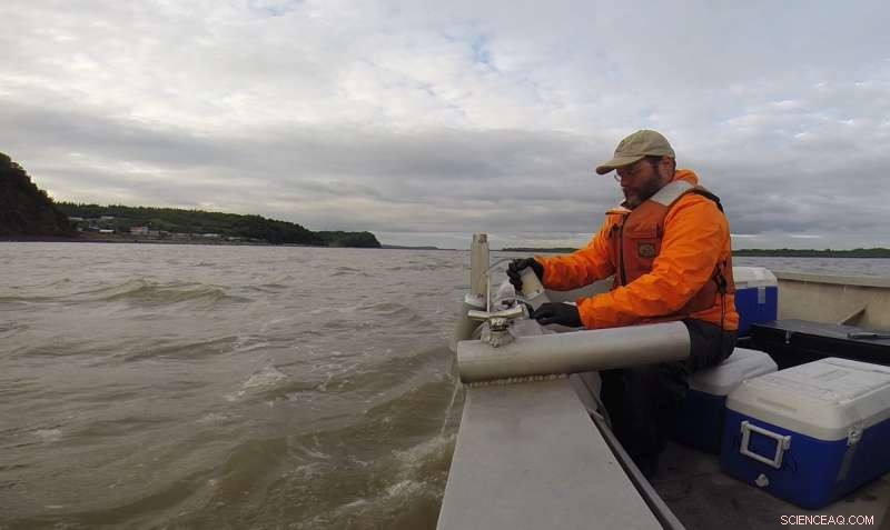 New Study Shows Microbial Markers Predict Arctic River Flow with High Accuracy