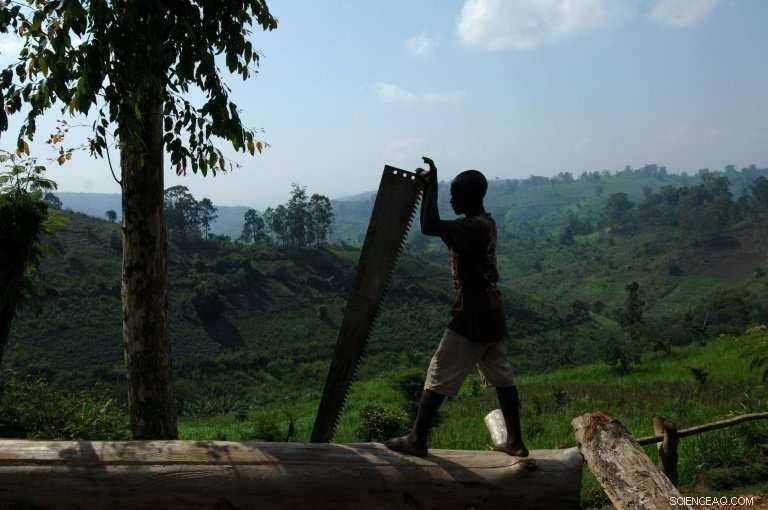 Faith Leaders & Pygmy Communities Unite to Protect Congo s Forest