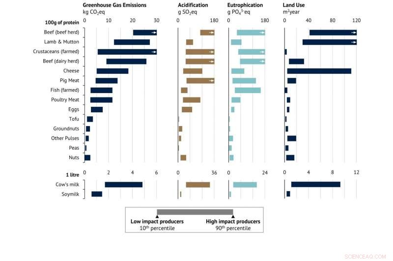Study Reveals How Identical Foods Can Have Dramatically Different Environmental Impacts