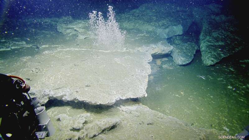 Scientists Map Extensive Methane Seeps Along Oregon Coast