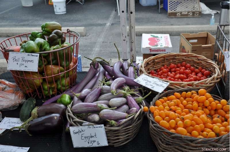 Study Finds Farmers Uncertify from USDA Organic Program Due to Market Access and Certification Hurdles