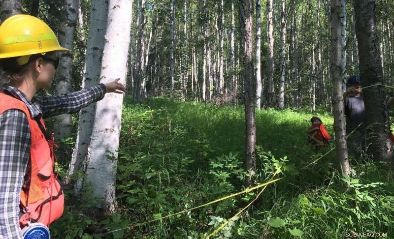 NASA Invests to Crack Earth s Carbon Puzzle