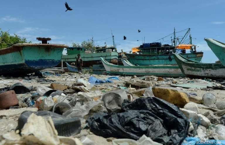 Tragic Whale Death in Southern Thailand After Ingesting 80 Plastic Bags
