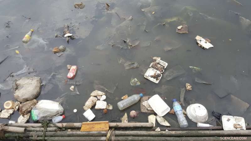 Seaweed: Indonesia’s Sustainable Solution to the Global Plastic Crisis