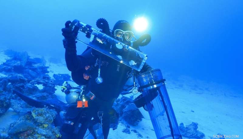 Revolutionary Device Safely Brings Deep-Sea Fishes to Surface