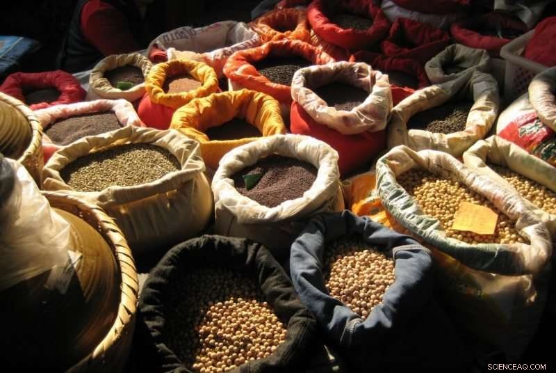 Predicting and Preventing Food Insecurity: How Computational Models Are Transforming Research