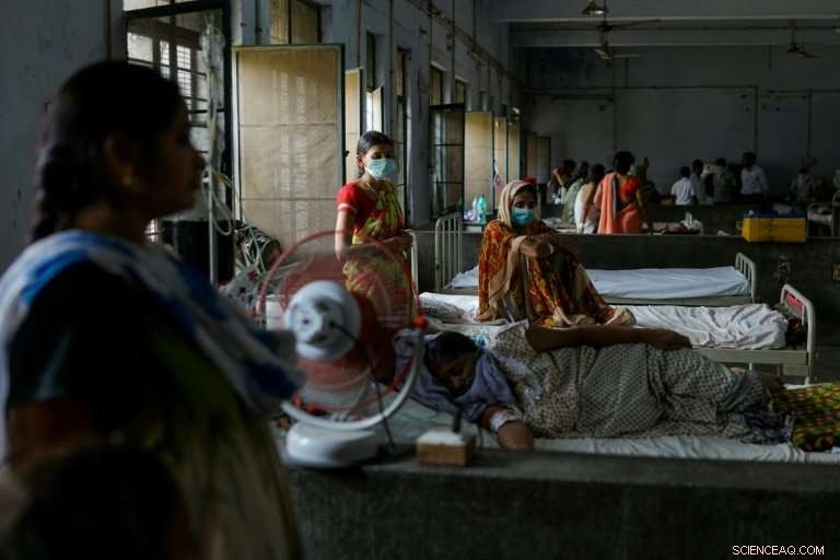 Kanpur Suffers Record-Breaking Air Pollution, Endangering Residents