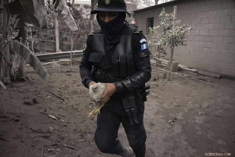 Casualty Count Mounts in Guatemala Volcano as More Bodies Are Retrieved