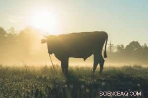 New Emission Metric Paves Way for Innovative Climate Policy