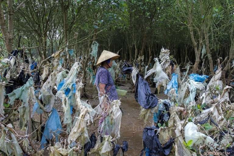 Asia s Ocean Plastic Crisis: A Growing Wasteland