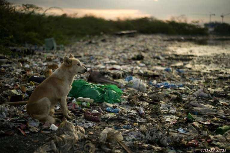 Asia s Ocean Plastic Crisis: A Growing Wasteland