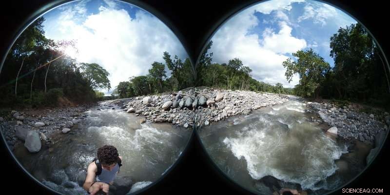 Immersive Summer Research in Costa Rica: A Journey of Learning