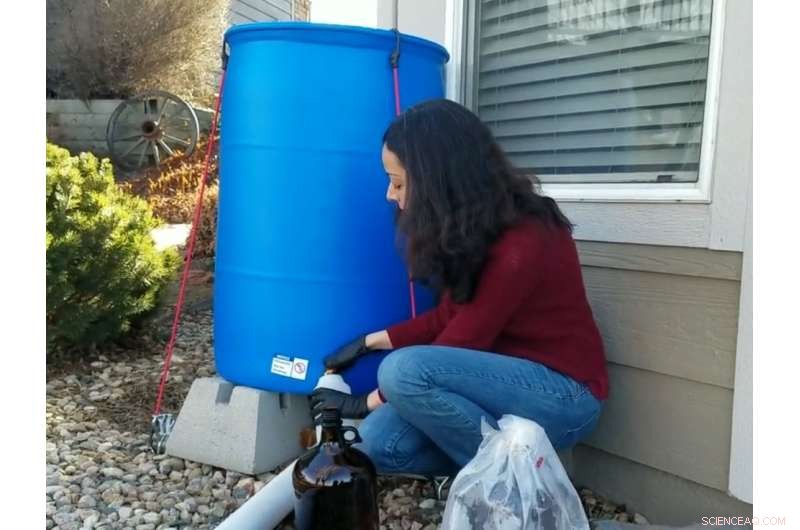 Assessing the Safety of Drinking Rainwater: Findings from Recent Studies