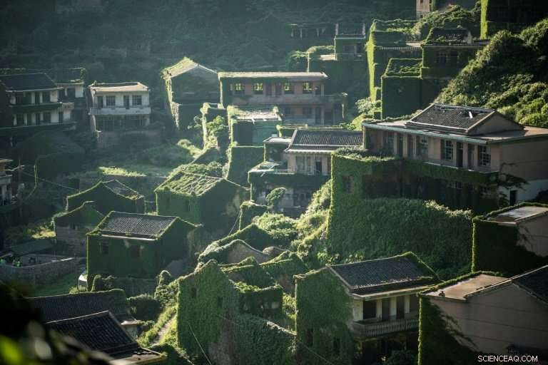 Nature Reclaims China’s Emerald Island: A Resurgent Wilderness