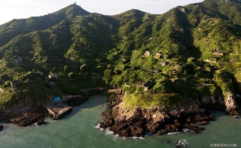 Nature Reclaims China’s Emerald Island: A Resurgent Wilderness