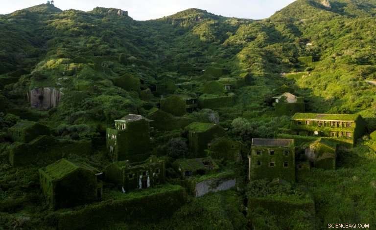 Nature Reclaims China’s Emerald Island: A Resurgent Wilderness