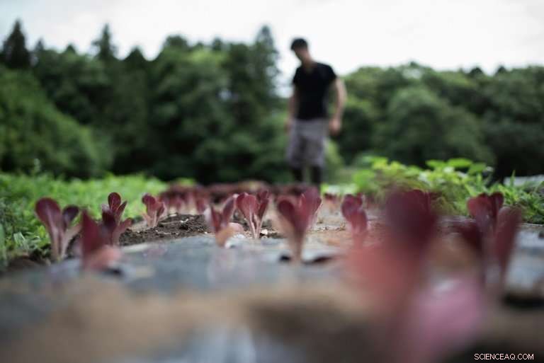 Japan s Organic Farmers Face Low Returns: Why the Pay is Little