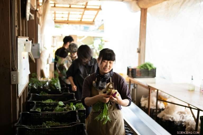 Japan s Organic Farmers Face Low Returns: Why the Pay is Little