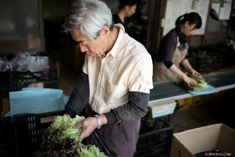 Japan s Organic Farmers Face Low Returns: Why the Pay is Little