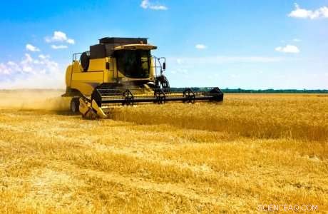 Financial Pressures Drive Farmers to Take Greater Risks