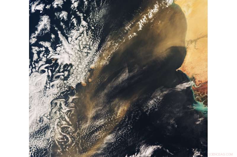 Cabo Verde from Space: Sentinel‑3A Satellite Panorama of the Atlantic