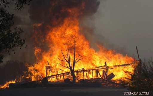 Deadly California Wildfires Triggered by Downed Power Lines