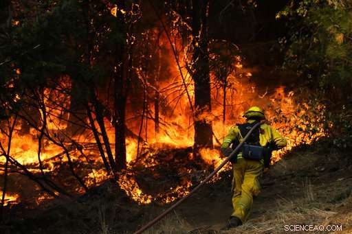 Deadly California Wildfires Triggered by Downed Power Lines