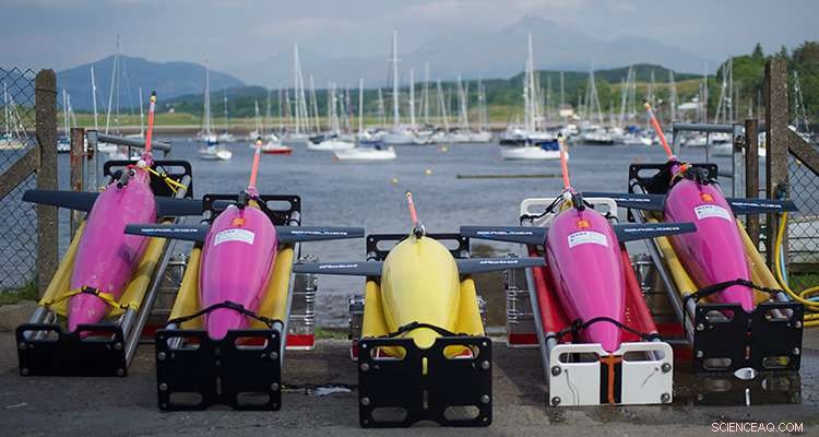 Arctic Underwater Robots Reveal Climate Change Impact on Marine Life