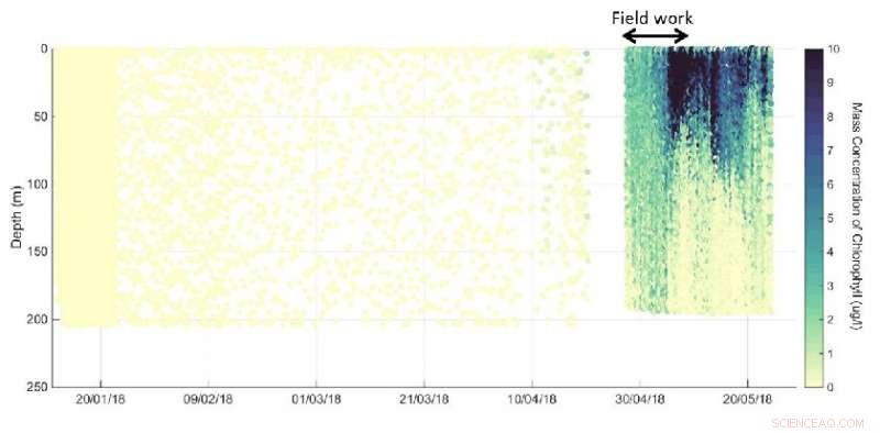 Arctic Underwater Robots Reveal Climate Change Impact on Marine Life