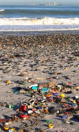 Examining Microplastic Impact on Ocean Health: A Scientific Study