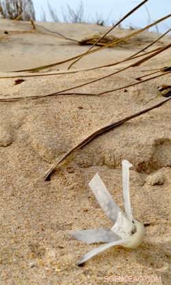 Examining Microplastic Impact on Ocean Health: A Scientific Study