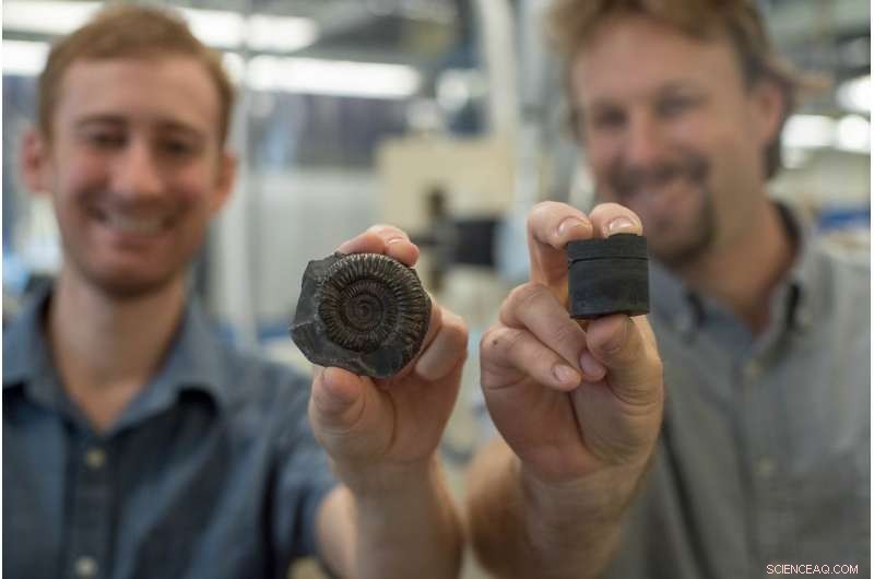 Volcanic Activity and Ocean Oxygen Decline Sparked a Major Mass Extinction