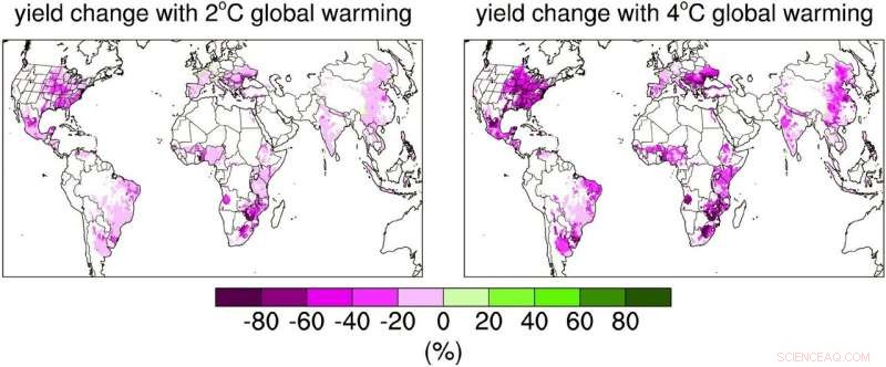 Higher Temperatures Will Dramatically Increase Global Corn Crop Volatility