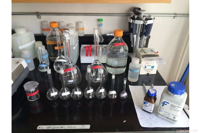 How Hurricanes Foster Resilience in Puerto Rico s Tropical Forests