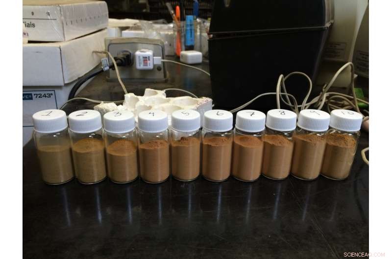 How Hurricanes Foster Resilience in Puerto Rico s Tropical Forests