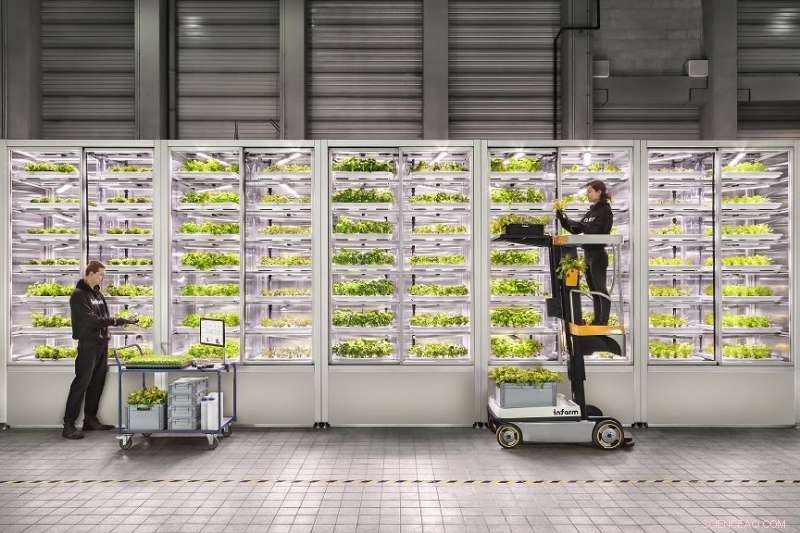 Indoor Farming: Precision Light Techniques Enhance Food Flavor