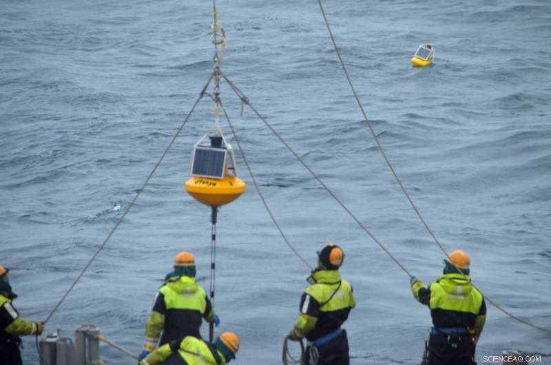 Arctic Study Links Wind Patterns to Wave Height: Insights from International Research Team