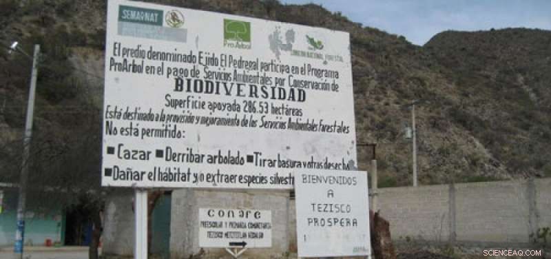 Paying Communities for Forest Management Strengthens Social Bonds and Environmental Stewardship