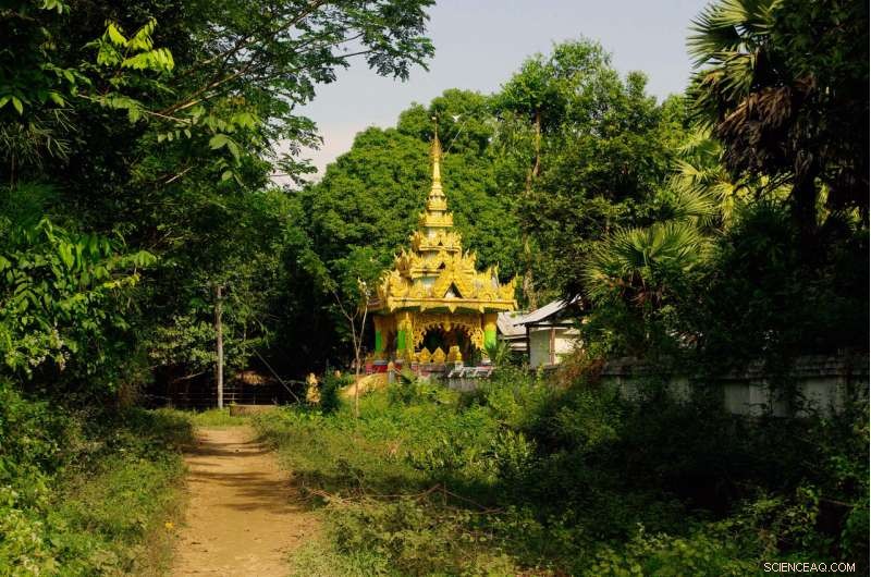 New Geological Mapping Reveals the Ayeyawady Delta’s History